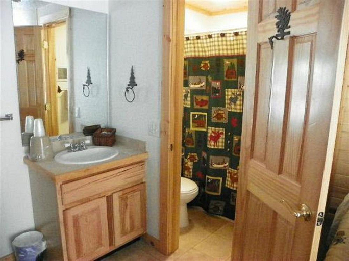Bathroom 4, Nicky's Resort, Larimer
