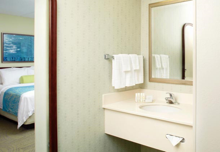 Bathroom 4, SpringHill Suites Pittsburgh Washington, Washington