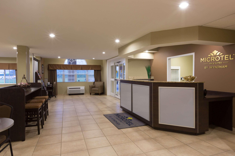 Public Area 2, Microtel Inn & Suites By Wyndham Sylva Dillsboro Area, Jackson