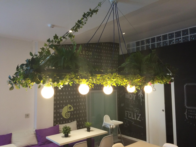 Business Facilities, Chameleon Hostel Alicante, Alicante
