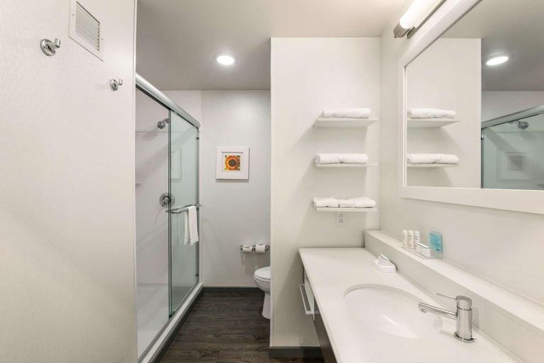Bathroom 4, Hampton Inn & Suites Lavonia, Franklin