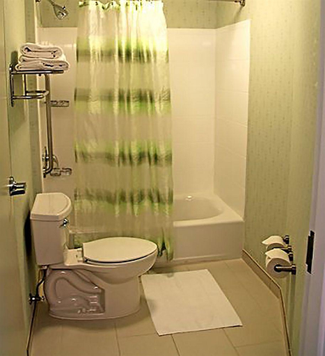 Bathroom 4, SpringHill Suites Fairfax Fair Oaks, Fairfax