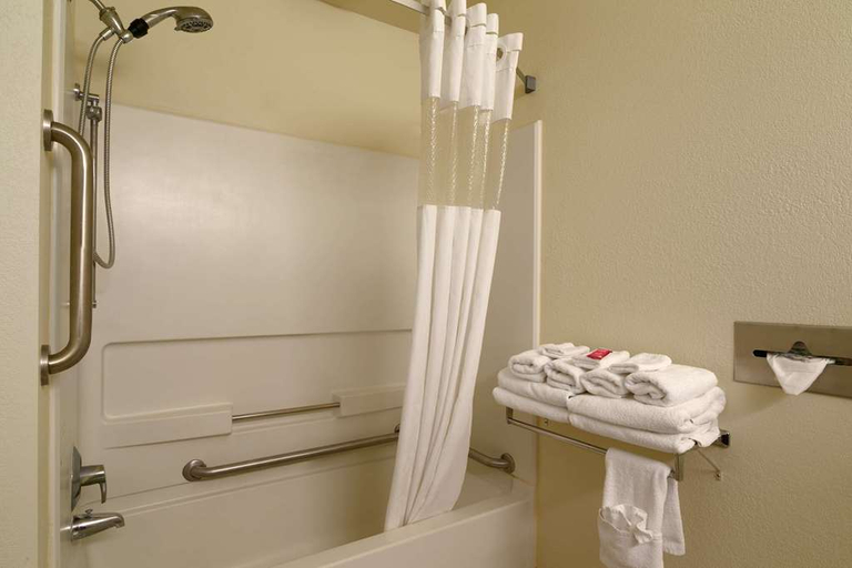 Bathroom 4, Econo Lodge Whitehall near Michigan's Adventure, Muskegon