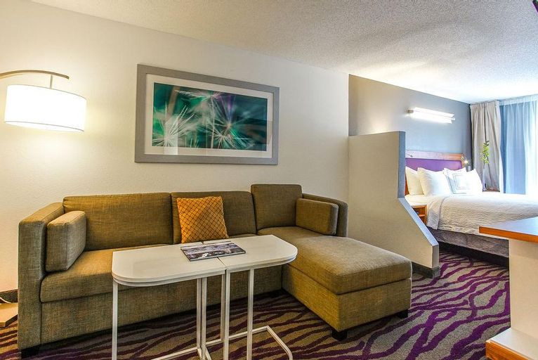 SpringHill Suites Savannah Midtown, Chatham