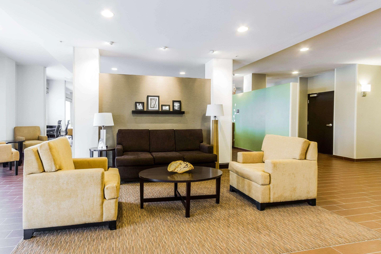 Public Area 2, Sleep Inn And Suites, Ector