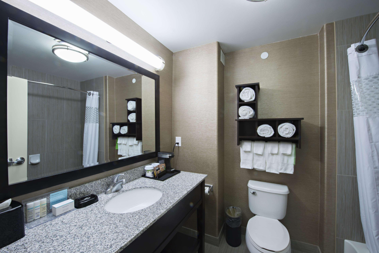 Bathroom 4, Hampton Inn Saskatoon South, Division No. 11