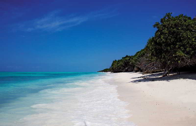 Exterior & Views 2, Warere Beach, Kaskazini 'A'