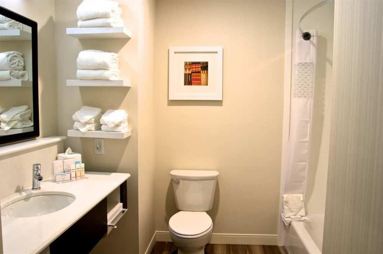 Bathroom 4, Hampton Inn Mesa Verde/Cortez, Montezuma