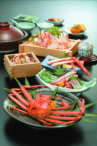 Kyukamura Echizen-Mikuni, Sakai City