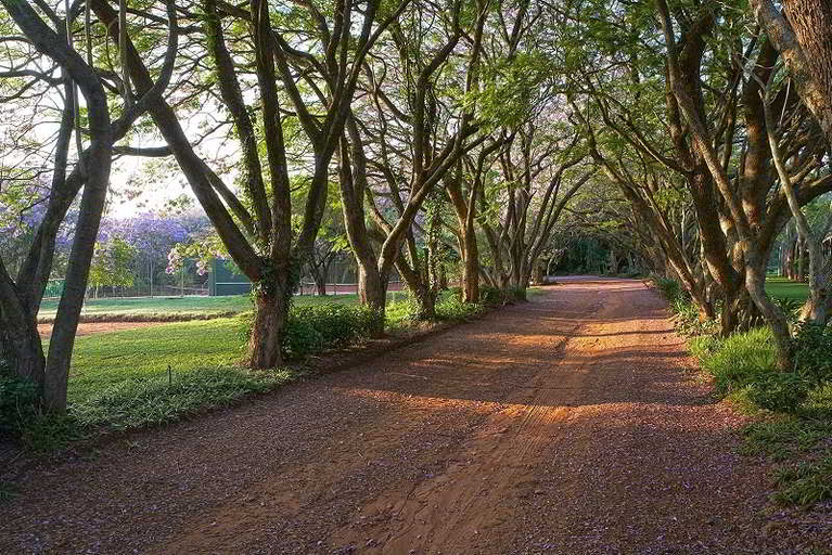 Exterior & Views 2, Shangri-La Country Hotel, Waterberg
