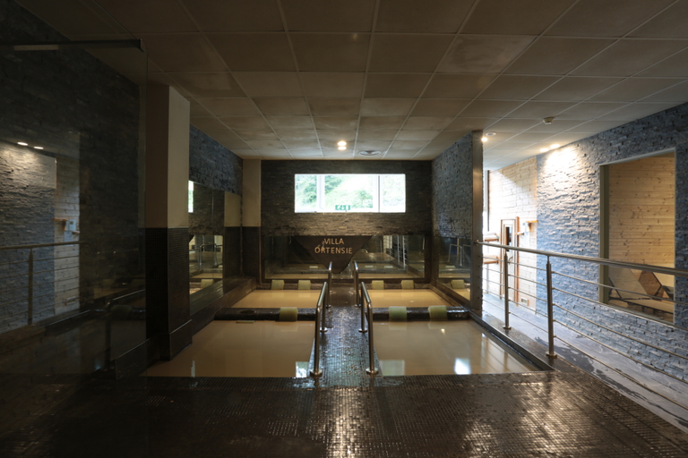 Public Area, Villa delle Ortensie, Bergamo