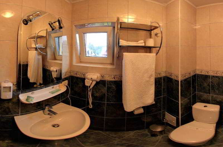 Bathroom, Pensiunea Carmen Silvae, Gura Humorului