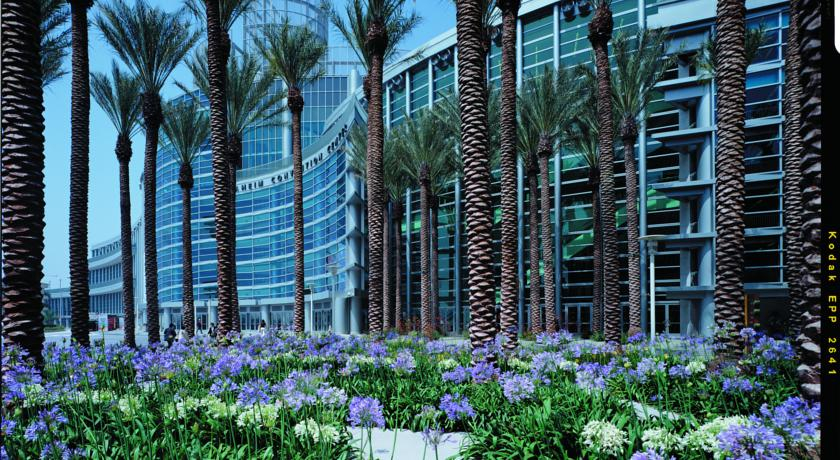 Exterior & Views 2, SpringHill Suites Anaheim Resort/Convention Center, Orange