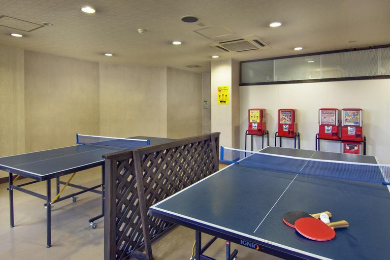 Public Area 3, Kishigon Ryokan, Shibukawa