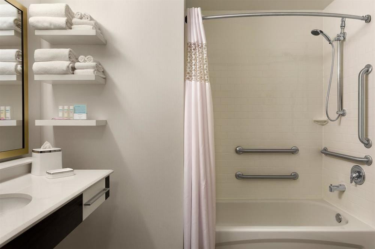 Bathroom 4, Hampton Inn Chicago Downtown/N Loop/Michigan Ave, Cook