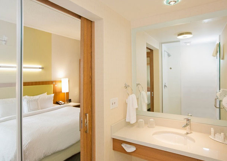 Bathroom 4, Springhill Suites by Marriott Pittsburgh Mt. Lebanon, Allegheny