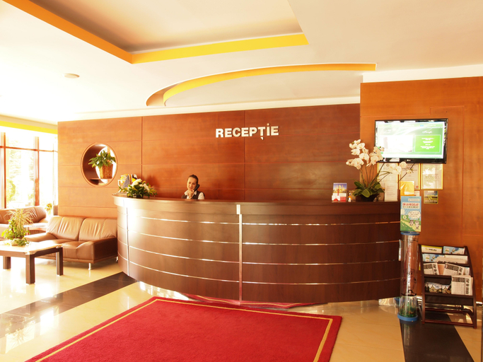 Public Area 4, Rina Sinaia Hotel, Sinaia
