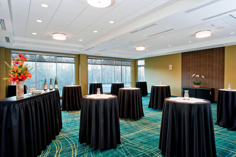 Public Area 2, Springhill Suites by Marriott Bellingham, Whatcom
