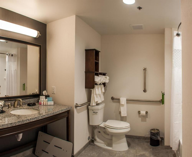 Bathroom 4, Hampton Inn & Suites Mishawaka/South Bend at Herit, Saint Joseph