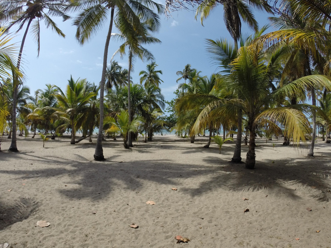 Public Area, Hotel Playa Mandala, Riohacha