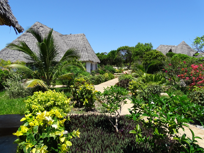 Public Area 2, Ras Michamvi Beach Resort, Kati