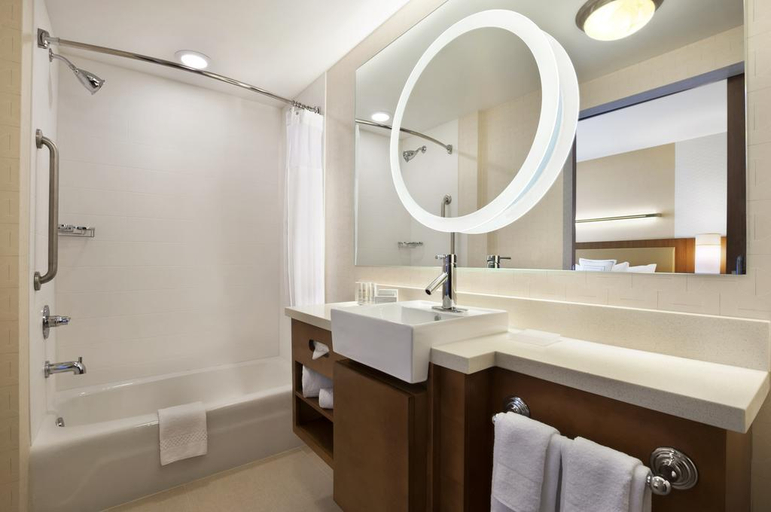 Bathroom 5, SpringHill Suites by Marriott Jackson Ridgeland, Madison
