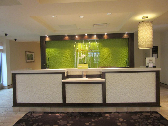 Public Area 2, Hilton Garden Inn Memphis/Wolfchase Galleria, Shelby