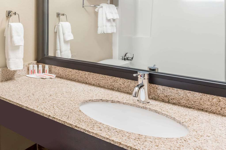 Bathroom 5, Ramada Plaza by Wyndham Green Bay, Brown