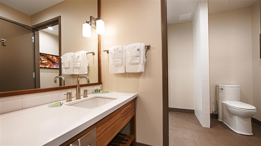 Bathroom, Best Western Plus Mountainview Inn & Suites, Division No. 6