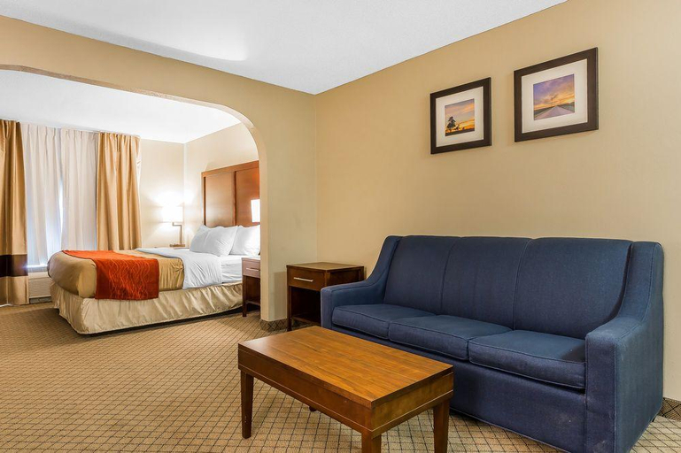 Public Area 5, Comfort Inn & Suites Mishawaka-South Bend, Saint Joseph
