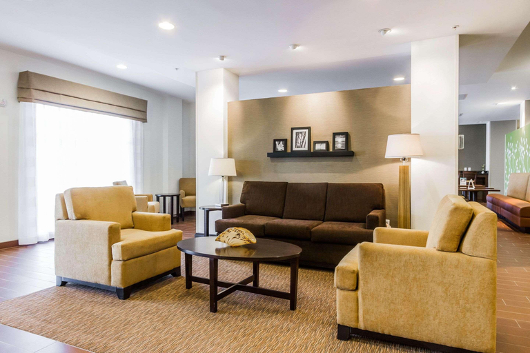 Public Area 2, Sleep Inn And Suites, Ector