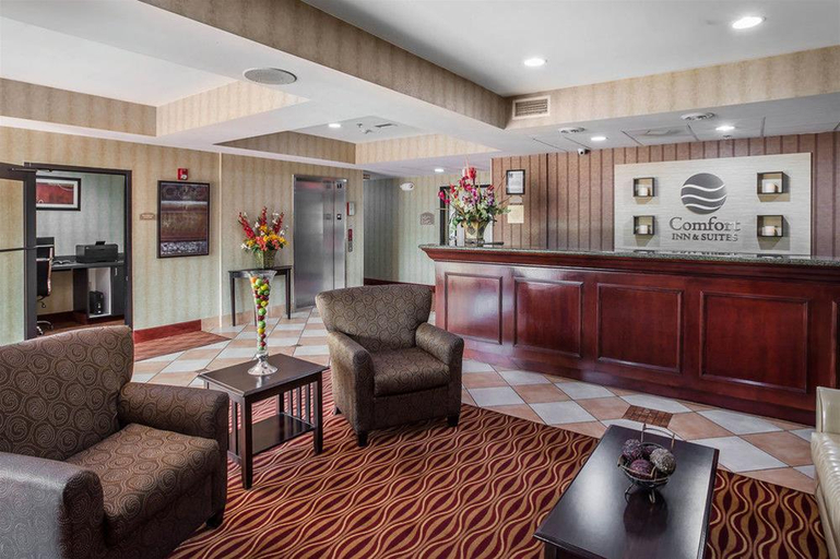 Public Area 3, Comfort Inn & Suites Griffin North, Spalding