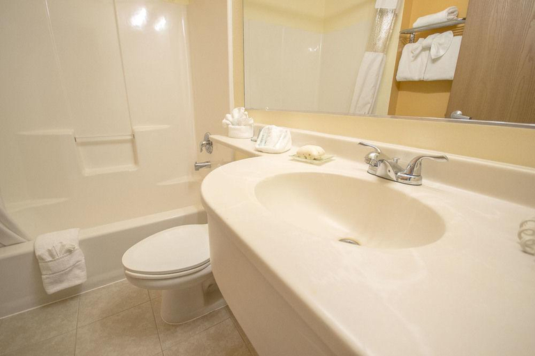 Bathroom 4, Clarion Inn Auburn Seattle, King