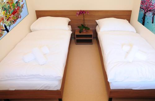 Apartmány Rokytka Snowhouse, Semily
