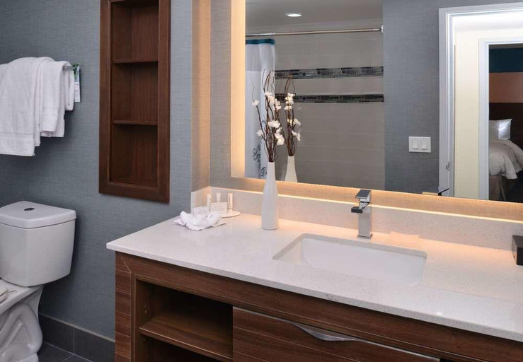 Bathroom 4, Residence Inn Temecula Murrieta, Riverside