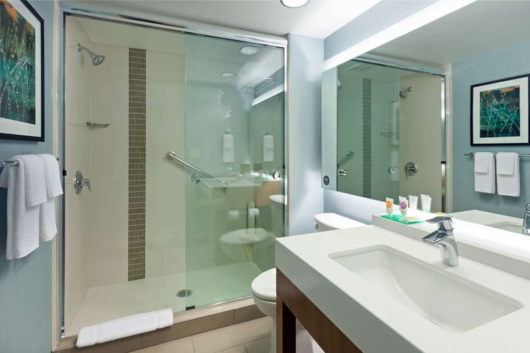 Bathroom 4, Hyatt Place Chicago Midway Airport, Cook