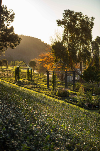 Public Area 4, Leeu Estates, Cape Winelands