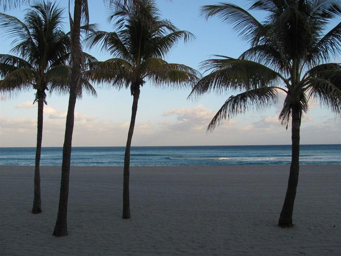 Sport & Beauty 5, Enchanted Isle Hollywood Beach Resort, Broward