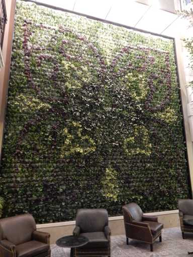 Public Area 5, Historico Central, Food & Beverages Included, Mexico City