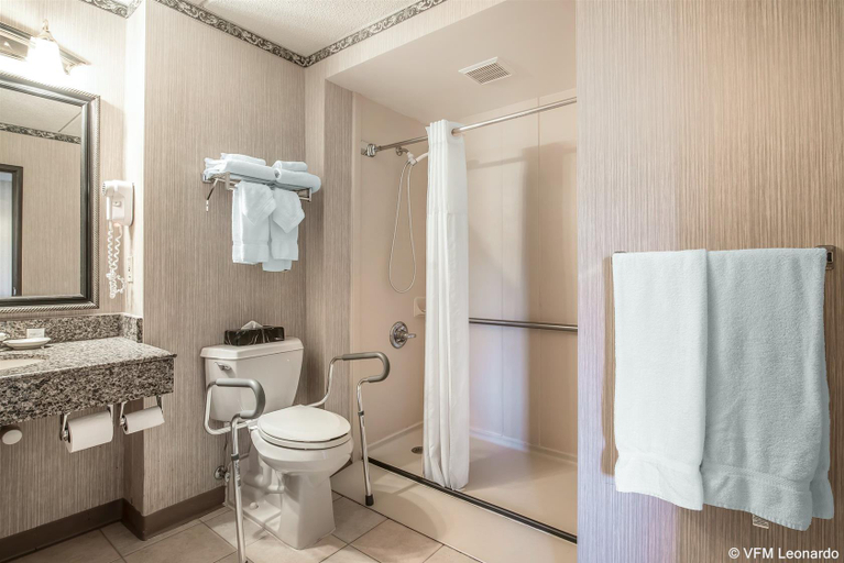 Bathroom, Hotel Downtown - University Area, Otsego