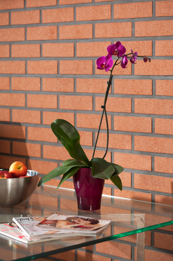 Food & Drinks, Dom & House – Apartmenty Waterlane, Gdańsk City