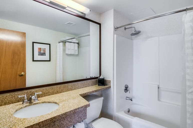Bathroom 4, TownePlace Suites Chicago Schaumburg, Cook
