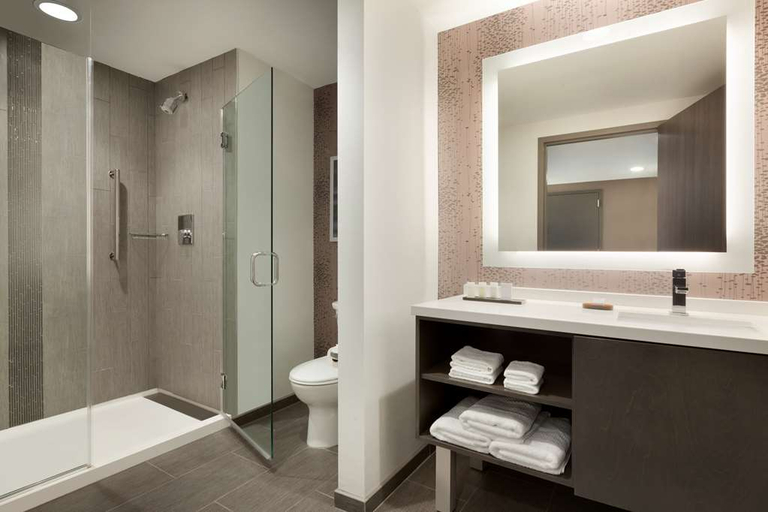 Bathroom 5, Embassy Suites by Hilton Charlotte Uptown, NC, Mecklenburg