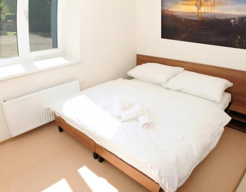Apartmány Rokytka Snowhouse, Semily