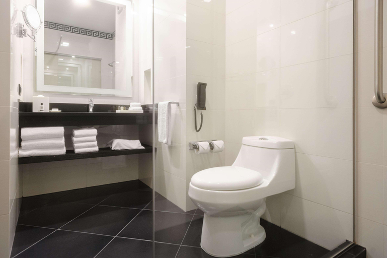 Bathroom 4, Hilton Garden Inn Lima Surc, Lima