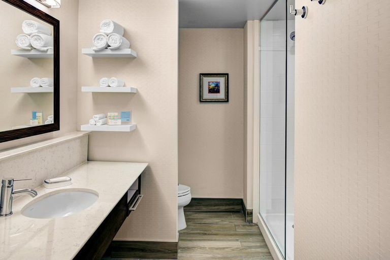Bathroom 4, Hampton Inn & Suites by Hilton Atlanta Perimeter D, DeKalb