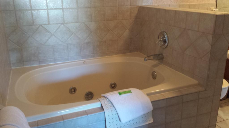 Bathroom, Roark Vacation Resort, Taney