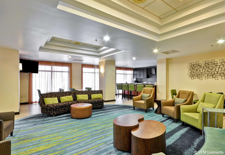 Public Area 3, SpringHill Suites Houston Hobby Airport, Houston