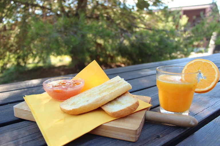 Food & Drinks 5, Bungalows Park Albufera, Valencia