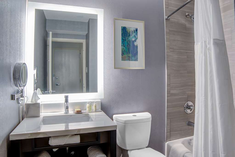 Bathroom 5, Doubletree by Hilton Harrisonburg, Harrisonburg